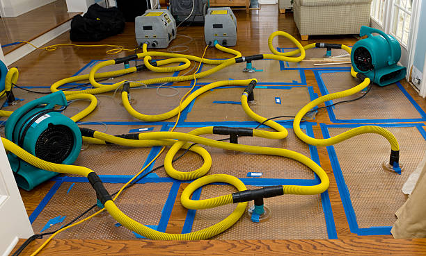 Professional Flood Damage Restoration technician working in Alexandria, KY